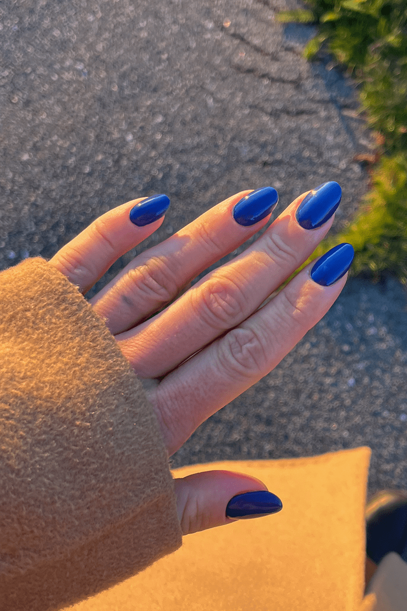 Blueberry · 490 | Nailster Denmark