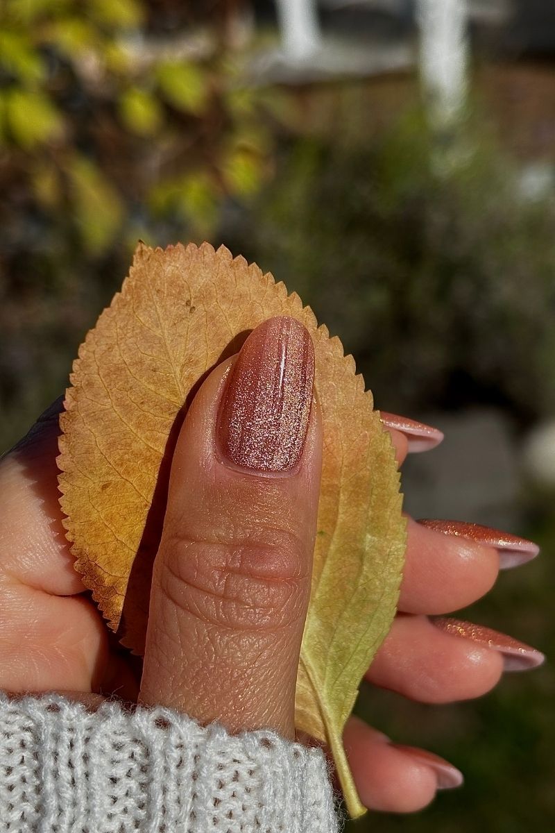Rusty Shimmer Look | Nailster Denmark